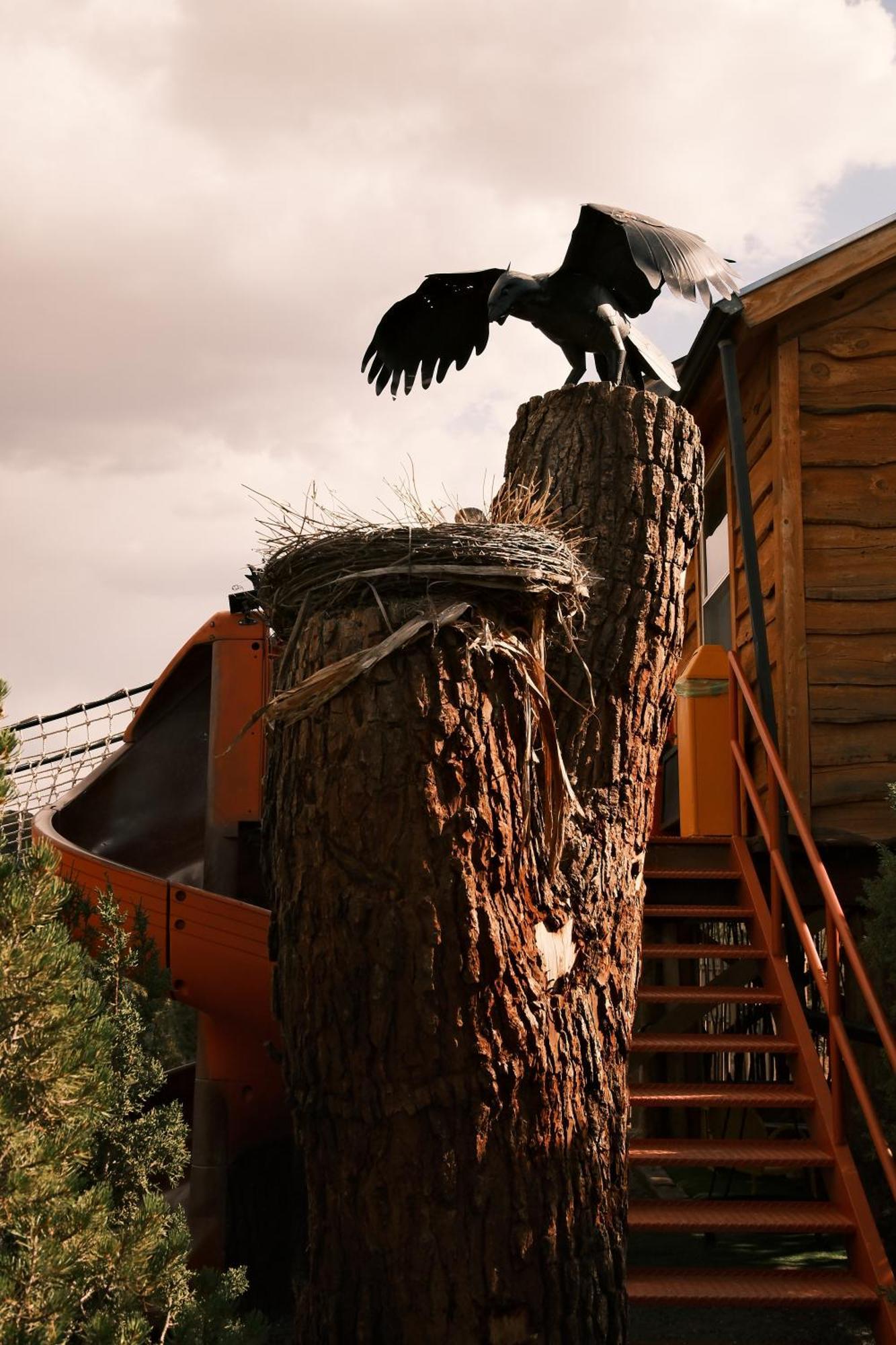 Crows Nest Treehouse At El Mstico Ranch Villa Nogal Екстериор снимка