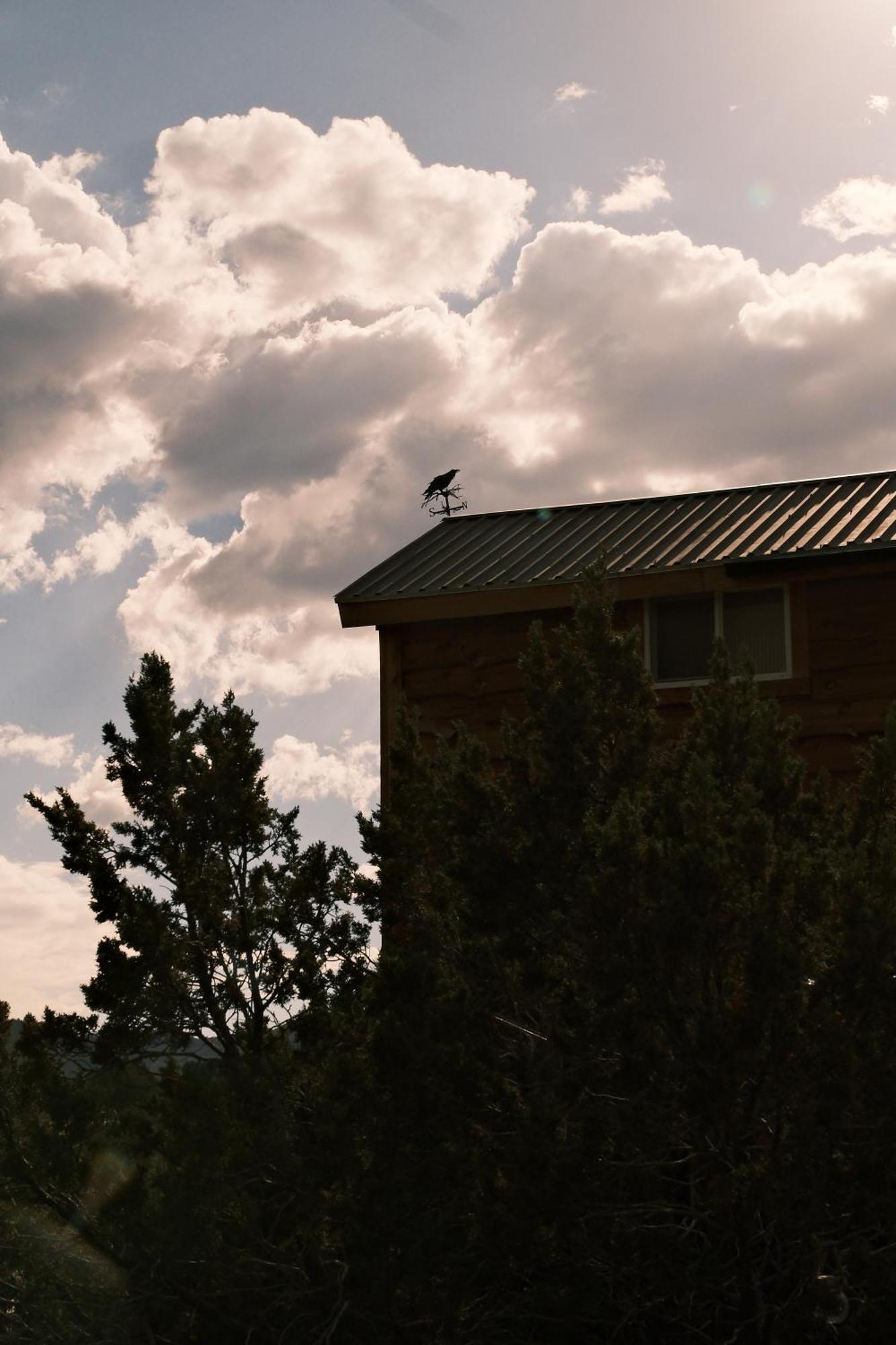 Crows Nest Treehouse At El Mstico Ranch Villa Nogal Екстериор снимка